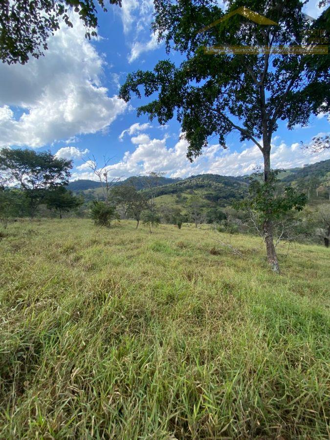 WhatsApp Image 2025-06-11 at 15.41.45 (3).jpeg